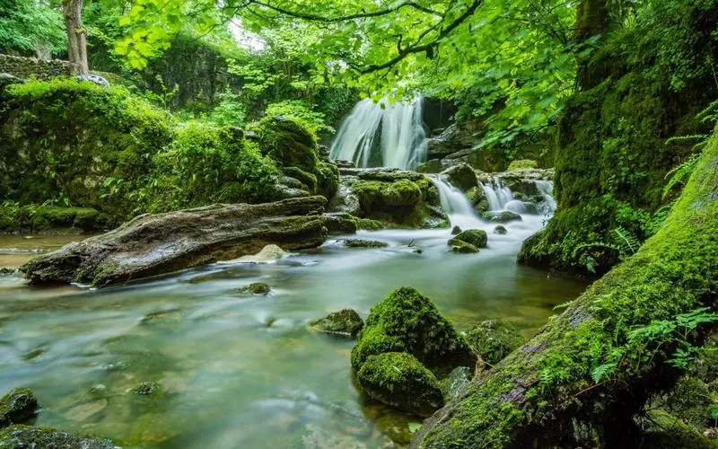 节能智能高标准